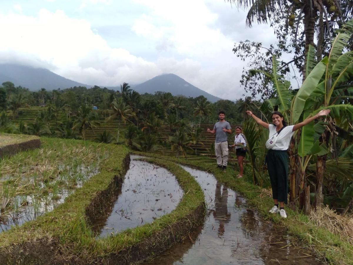 D'Ume Bendoel Homestay Jatiluwih Exterior foto