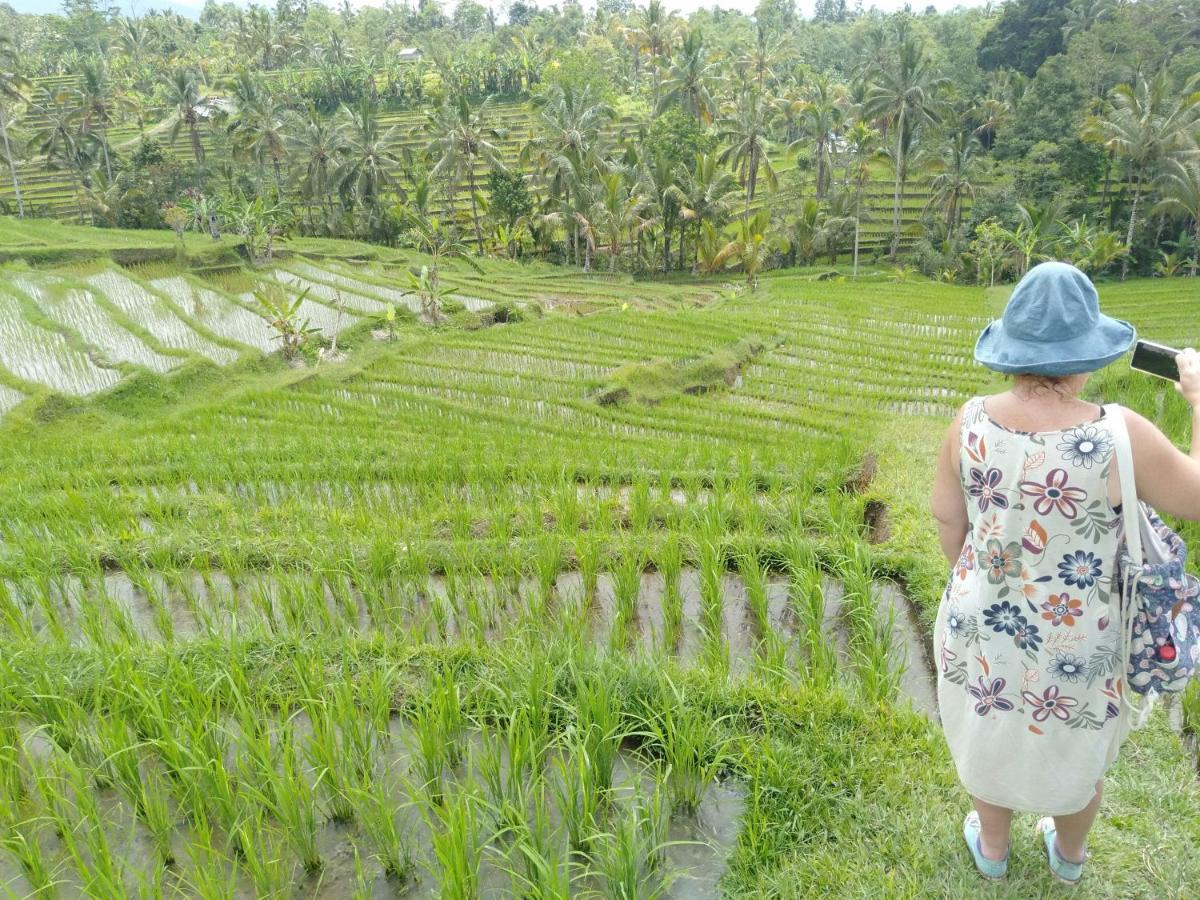 D'Ume Bendoel Homestay Jatiluwih Exterior foto
