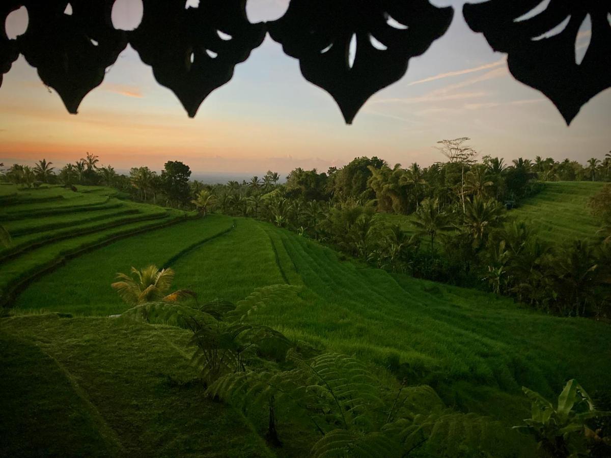 D'Ume Bendoel Homestay Jatiluwih Exterior foto