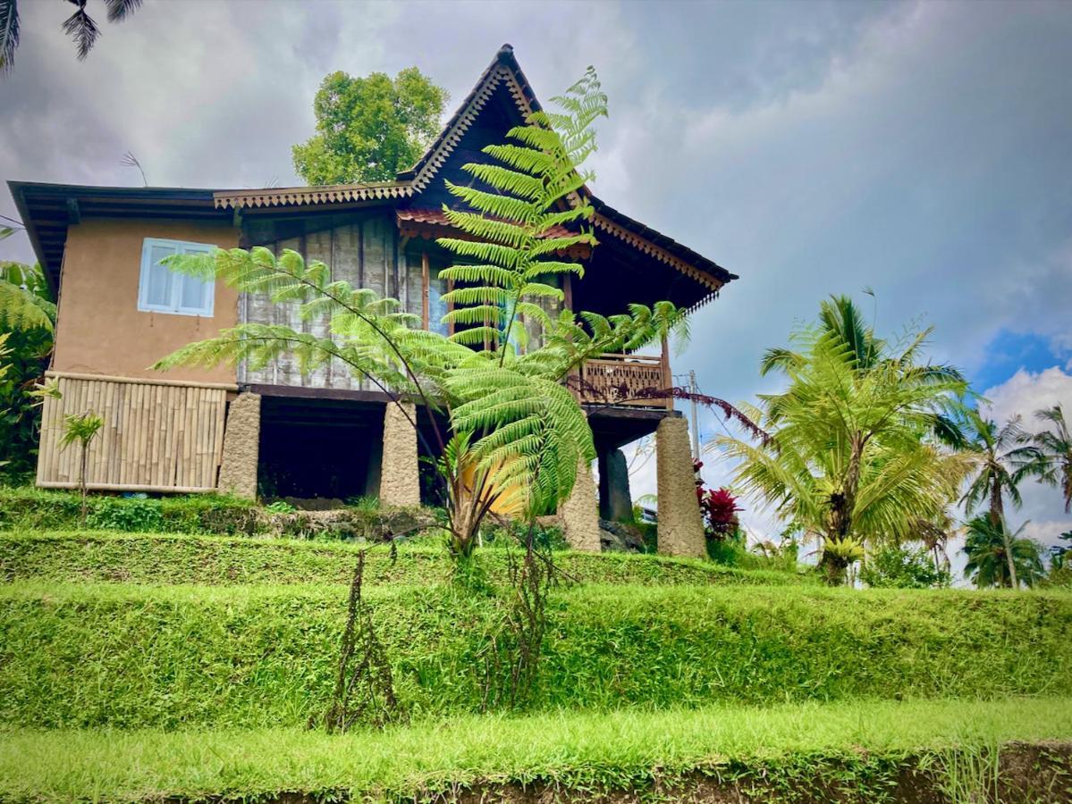 D'Ume Bendoel Homestay Jatiluwih Exterior foto