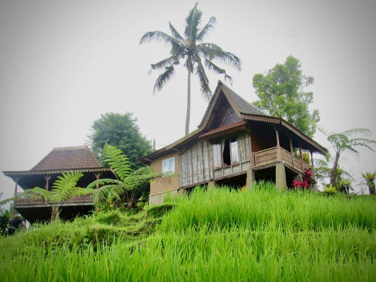 D'Ume Bendoel Homestay Jatiluwih Exterior foto