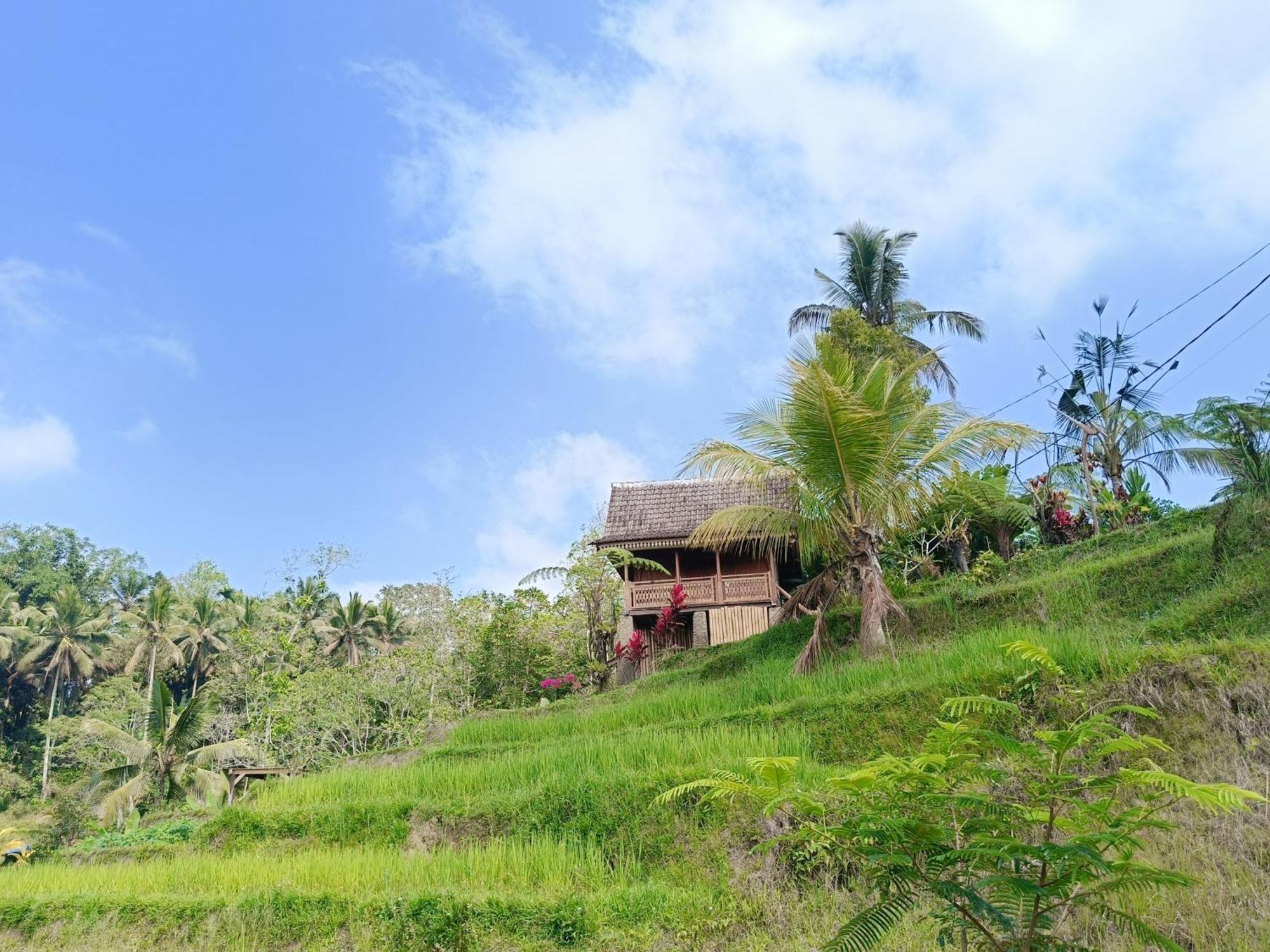 D'Ume Bendoel Homestay Jatiluwih Exterior foto