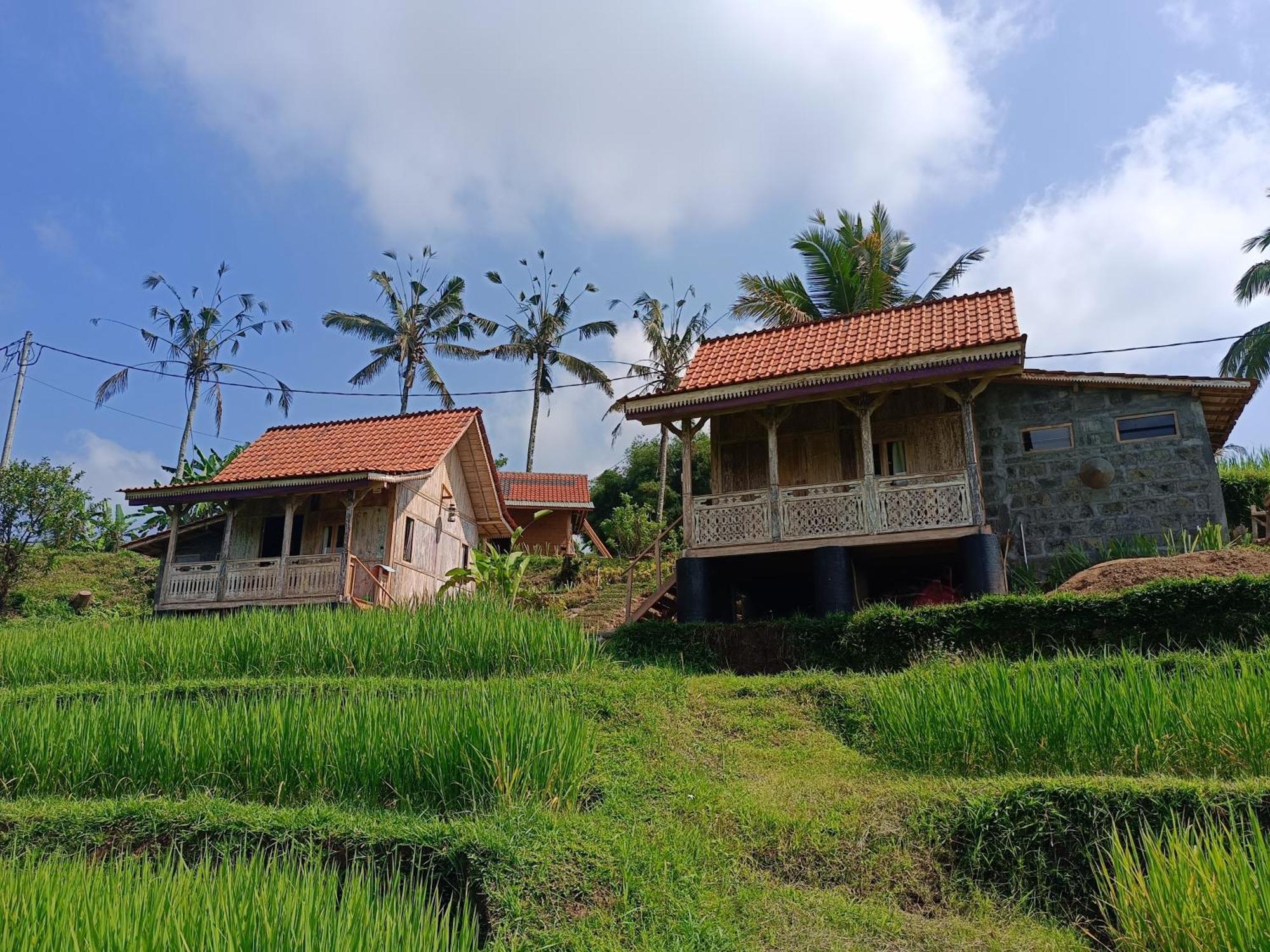 D'Ume Bendoel Homestay Jatiluwih Exterior foto
