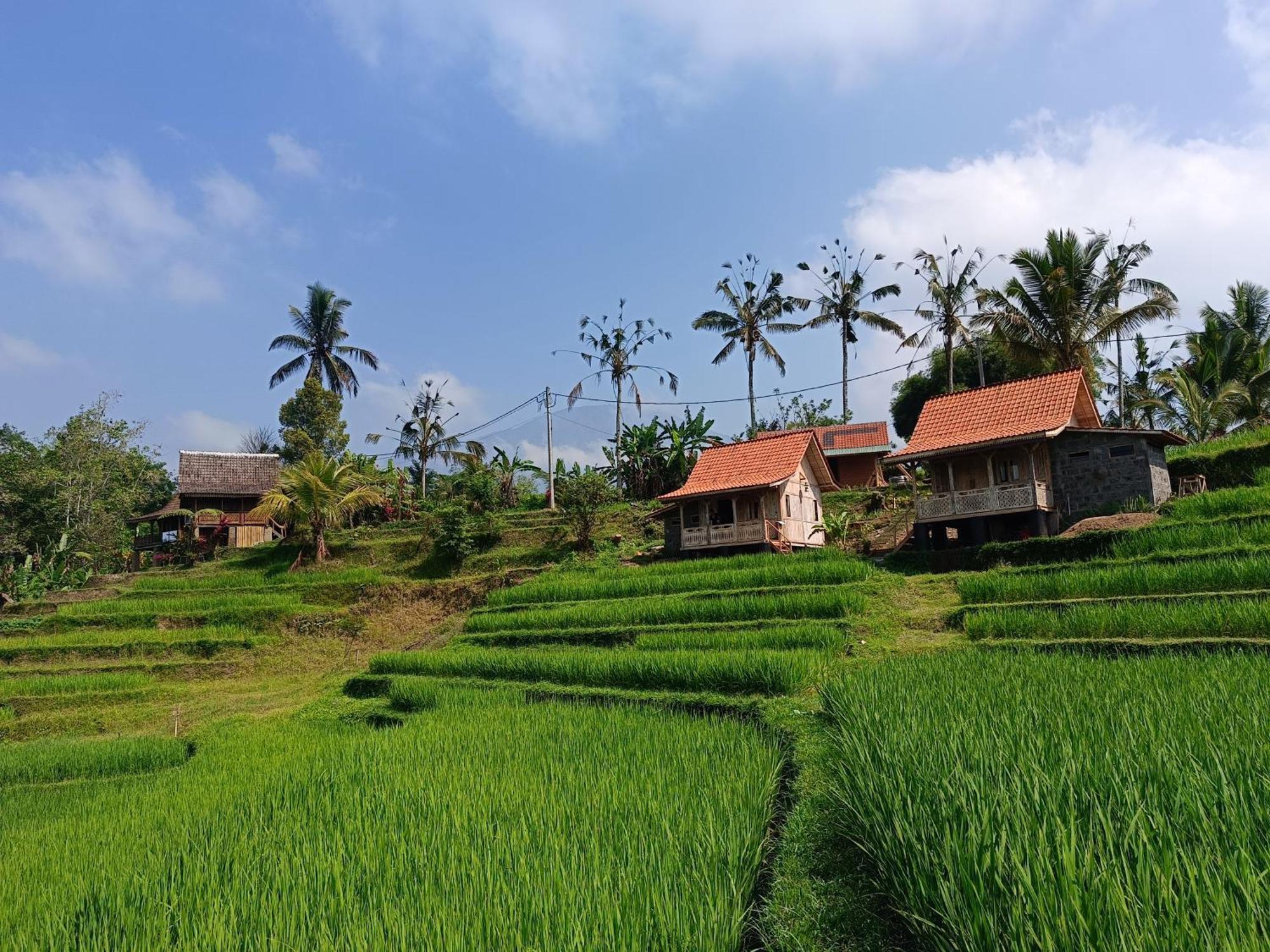 D'Ume Bendoel Homestay Jatiluwih Exterior foto