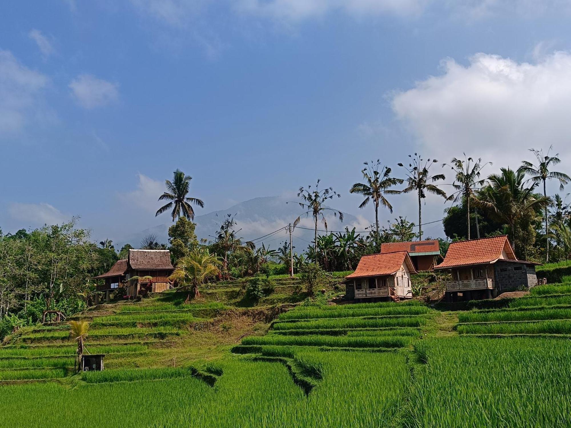 D'Ume Bendoel Homestay Jatiluwih Exterior foto