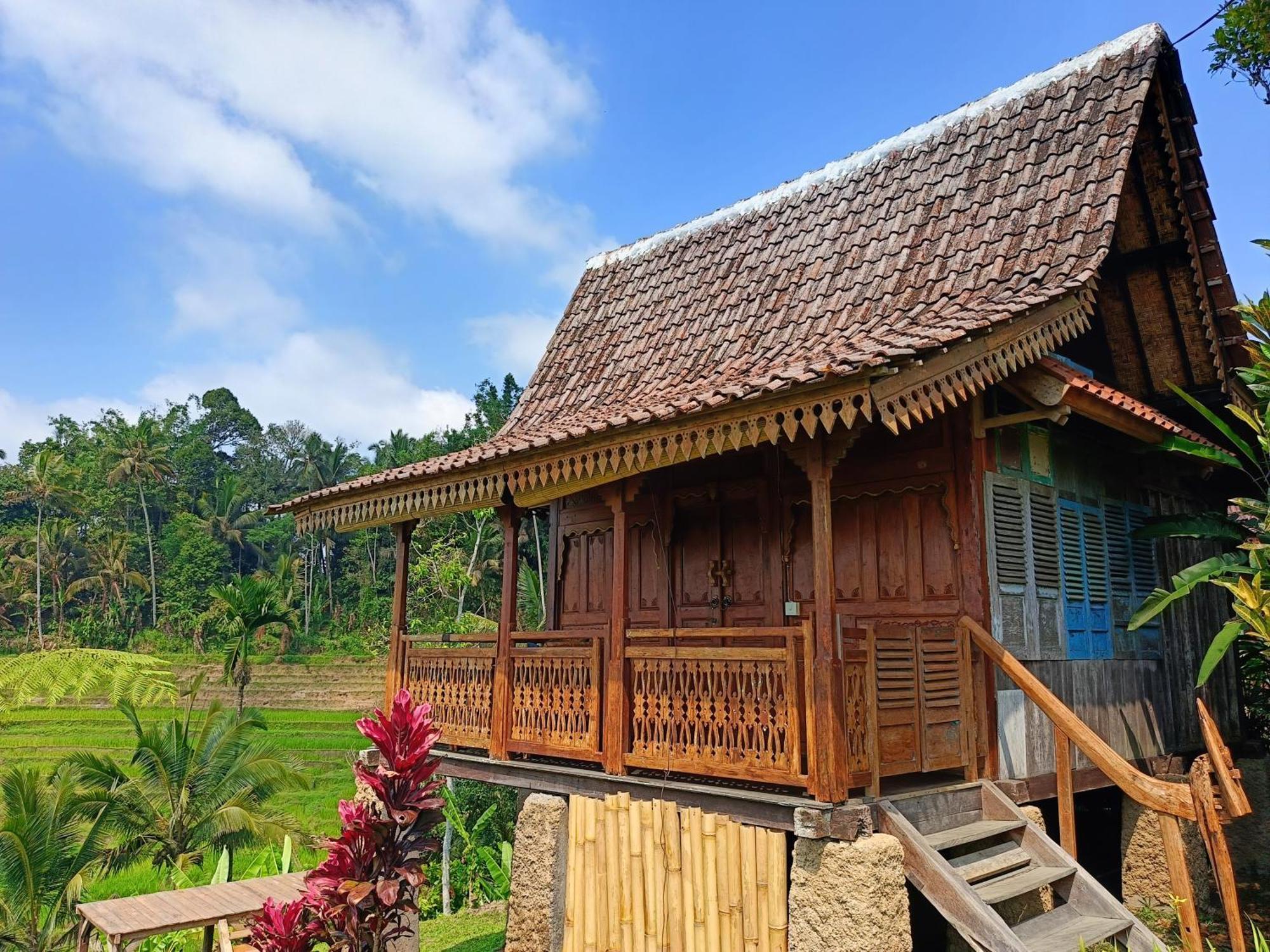 D'Ume Bendoel Homestay Jatiluwih Exterior foto