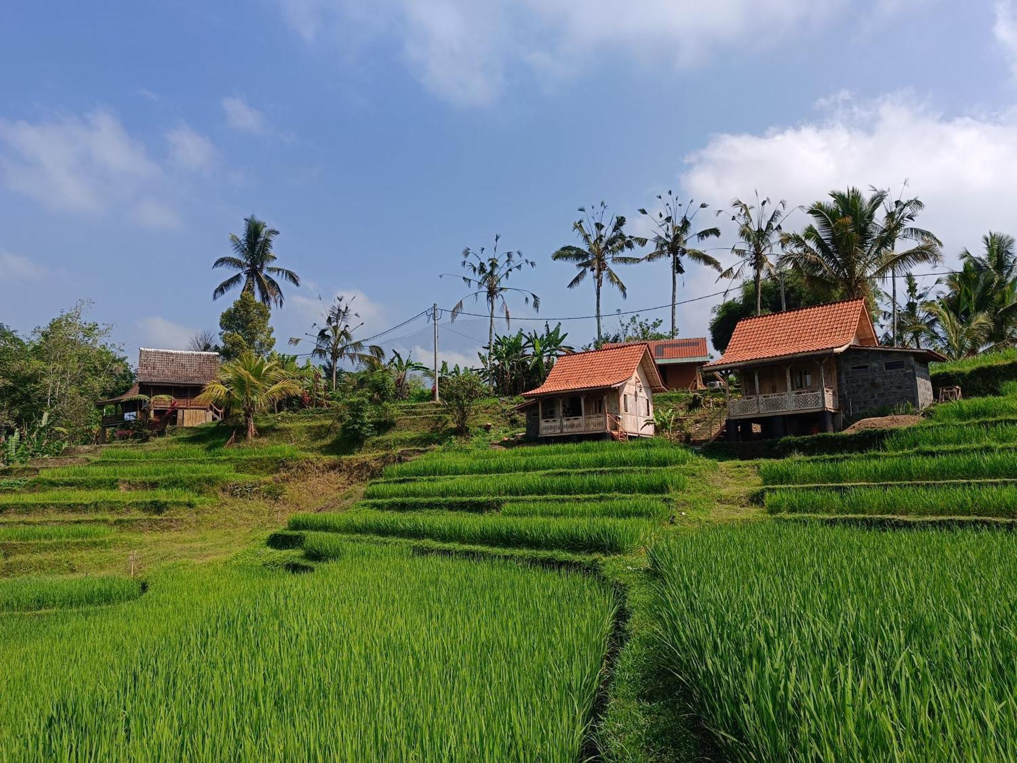 D'Ume Bendoel Homestay Jatiluwih Exterior foto