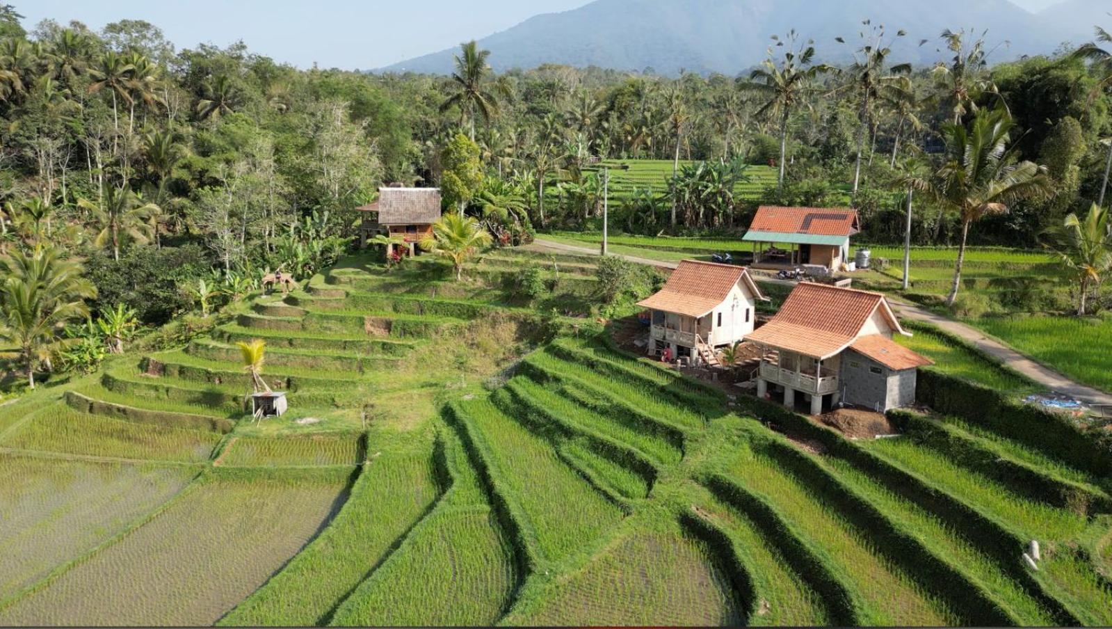 D'Ume Bendoel Homestay Jatiluwih Exterior foto