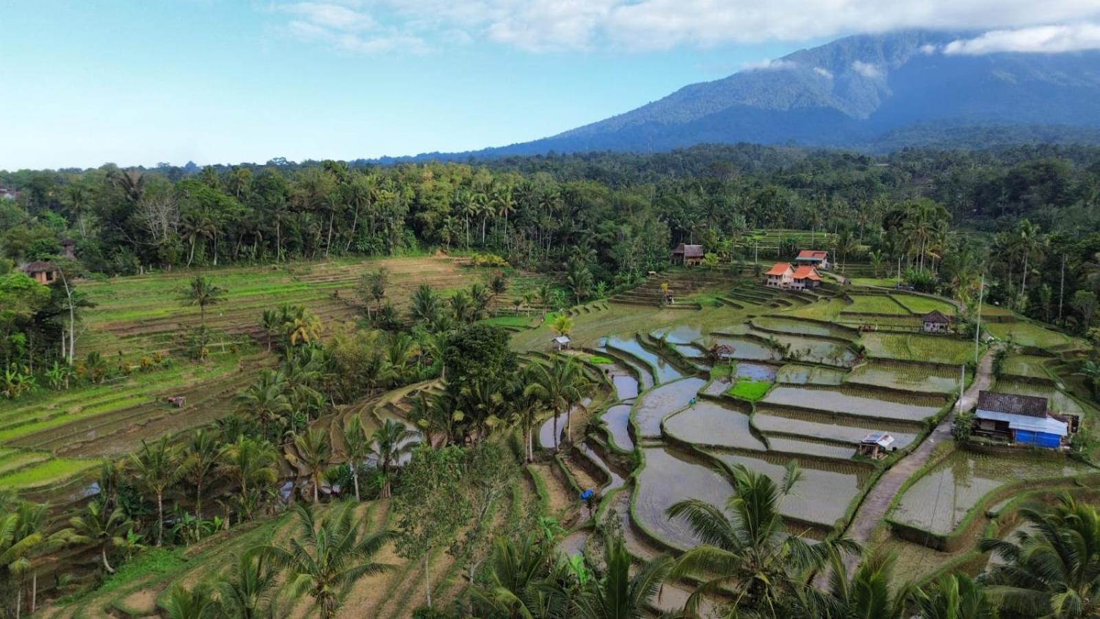D'Ume Bendoel Homestay Jatiluwih Exterior foto