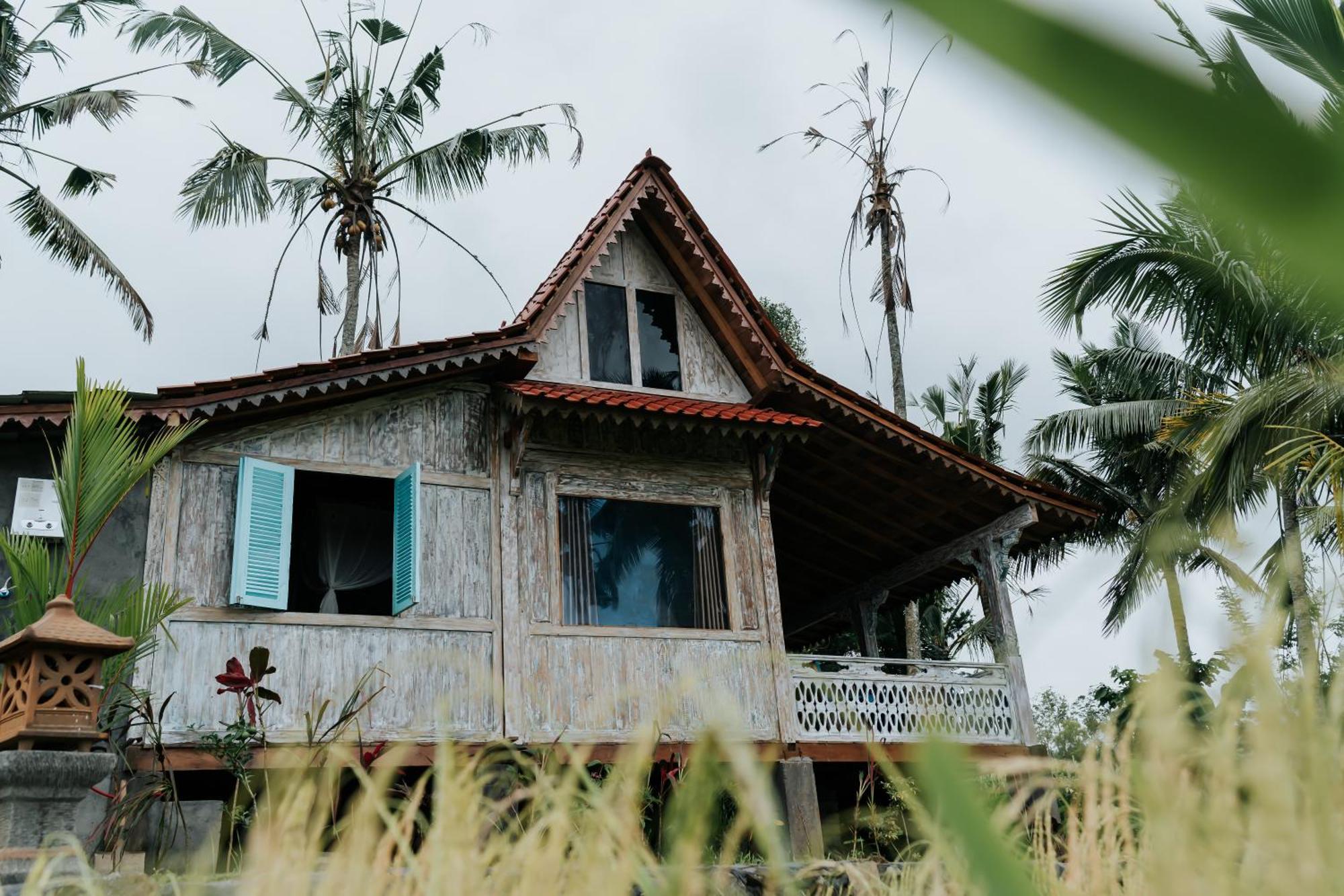 D'Ume Bendoel Homestay Jatiluwih Habitación foto