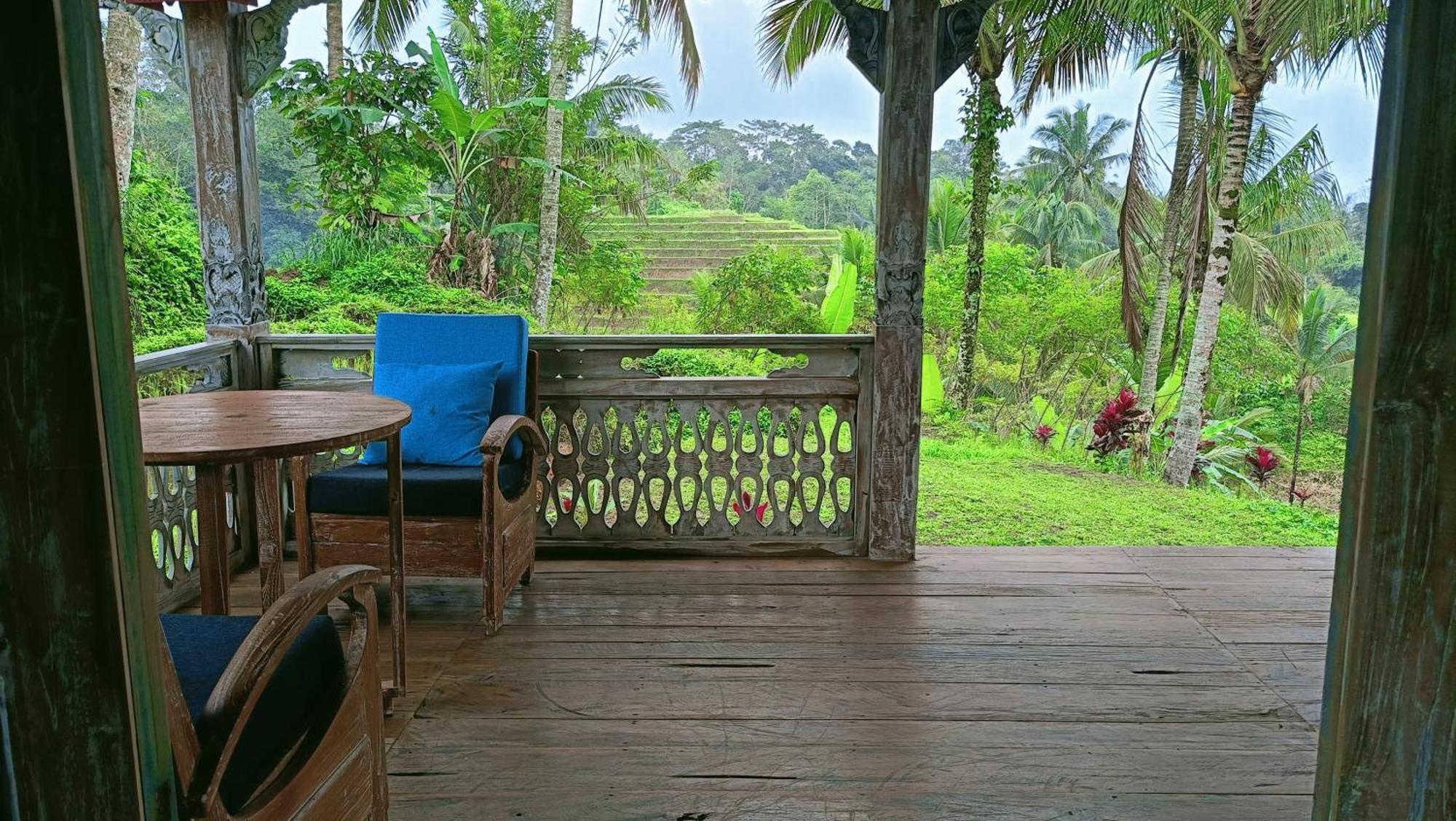 D'Ume Bendoel Homestay Jatiluwih Exterior foto