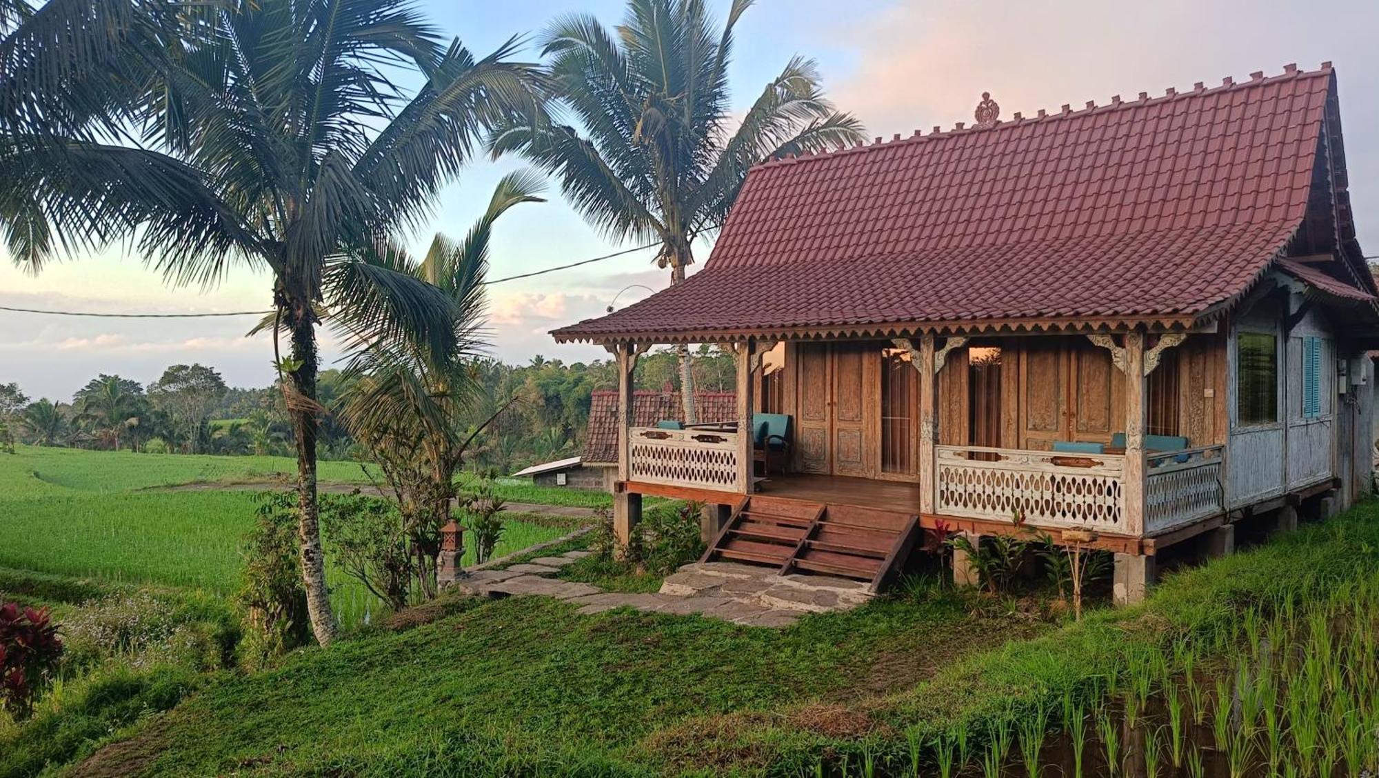 D'Ume Bendoel Homestay Jatiluwih Exterior foto