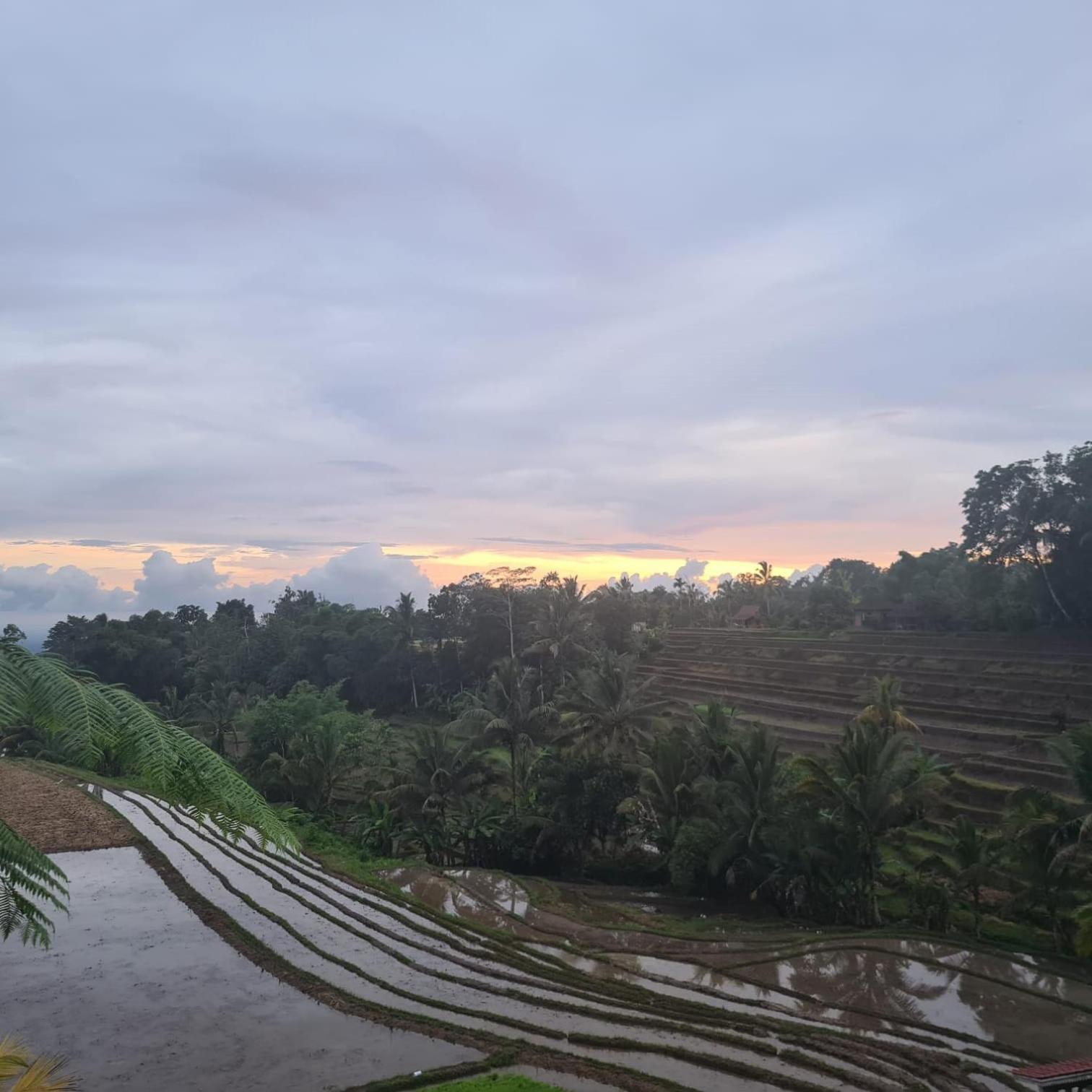 D'Ume Bendoel Homestay Jatiluwih Exterior foto